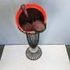 Calathea Picturata Crimson