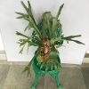 Staghorn, Elkhorn Fern, Platycerium Bifurcatum